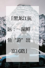 黑龙江抚远：一尾鲜鱼“游”出富民路