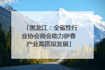 黑龙江：全省性行业协会商会助力伊春产业高质量发展