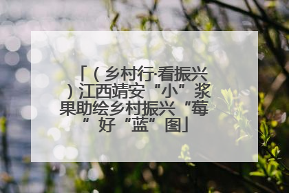 （乡村行·看振兴）江西靖安“小”浆果助绘乡村振兴“莓”好“蓝”图
