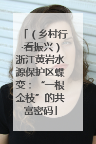 （乡村行·看振兴）浙江黄岩水源保护区蝶变：“一根金枝”的共富密码