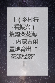 （乡村行·看振兴）荒沟变花海：内蒙古闲置地育出“花漾经济”