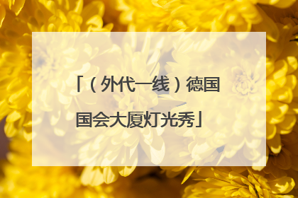 （外代一线）德国国会大厦灯光秀