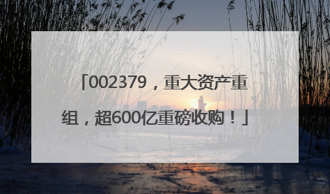 002379，重大资产重组，超600亿重磅收购！