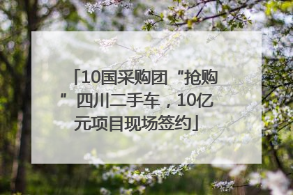 10国采购团“抢购”四川二手车，10亿元项目现场签约