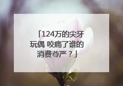 124万的尖牙玩偶 咬痛了谁的消费尊严？