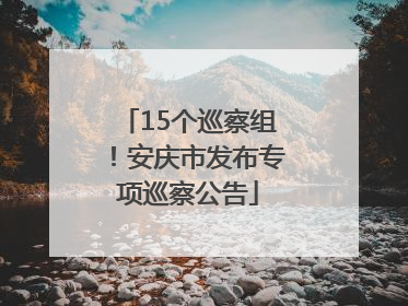 15个巡察组！安庆市发布专项巡察公告