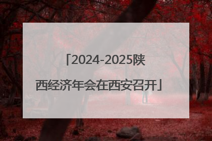 2024-2025陕西经济年会在西安召开