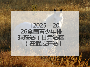2025—2026全国青少年排球联赛（甘肃赛区）在武威开赛