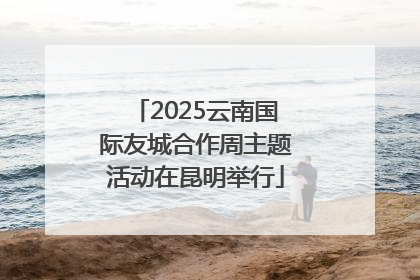 2025云南国际友城合作周主题活动在昆明举行