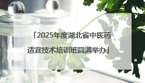 2025年度湖北省中医药适宜技术培训班圆满举办