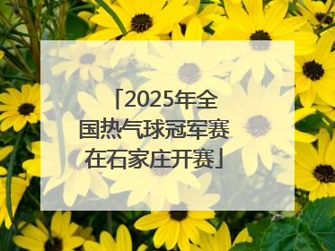 2025年全国热气球冠军赛在石家庄开赛