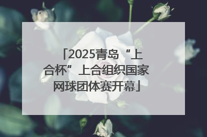 2025青岛“上合杯”上合组织国家网球团体赛开幕