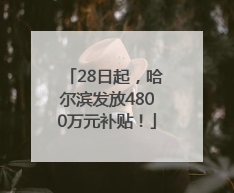 28日起，哈尔滨发放4800万元补贴！