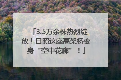 3.5万余株热烈绽放！日照这座高架桥变身“空中花廊”！