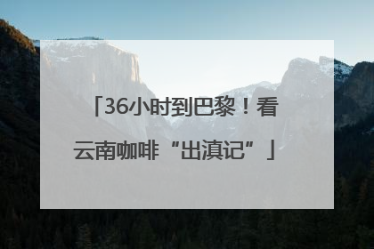 36小时到巴黎！看云南咖啡“出滇记”