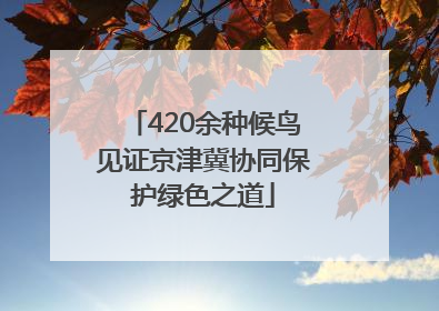 420余种候鸟见证京津冀协同保护绿色之道