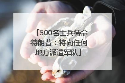 500名士兵待命 特朗普：将向任何地方派遣军队