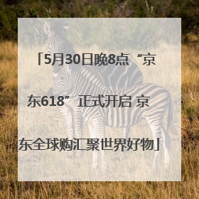 5月30日晚8点“京东618”正式开启 京东全球购汇聚世界好物