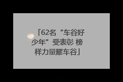62名“车谷好少年”受表彰 榜样力量耀车谷