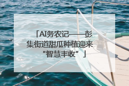 AI务农记——彭集街道甜瓜种植迎来“智慧丰收”