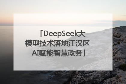 DeepSeek大模型技术落地江汉区 AI赋能智慧政务