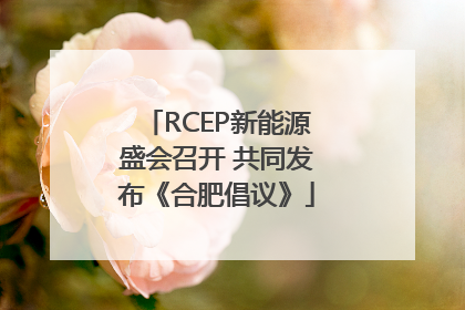 RCEP新能源盛会召开 共同发布《合肥倡议》