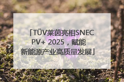 TÜV莱茵亮相SNEC PV+ 2025，赋能新能源产业高质量发展